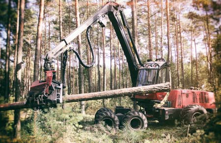 Holzvollernter